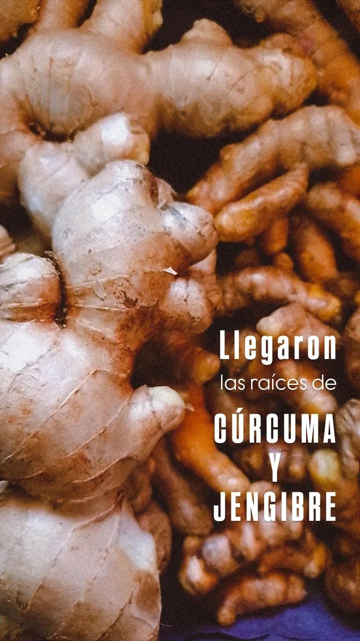 Jengibre en raíz x 100 grs.