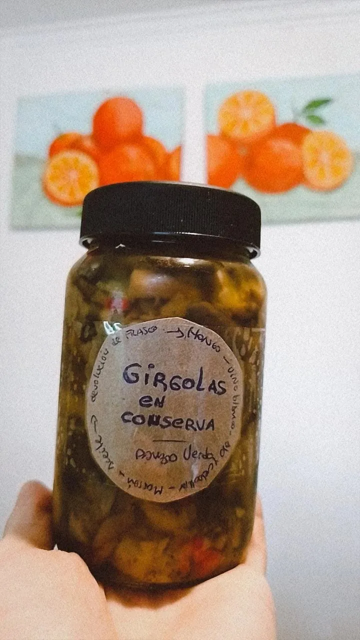Conserva de gírgolas x 360 grs. aprox.  Envase retornable.