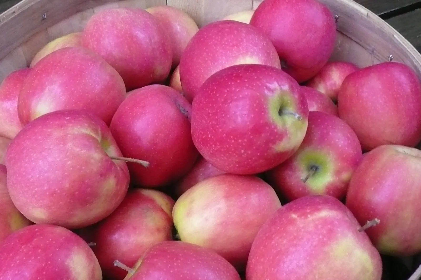 Manzana pink x kg