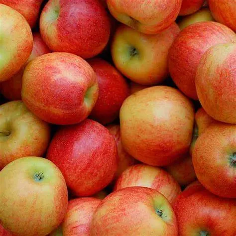 MANZANA PINK x 2 KILOS