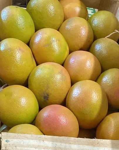 POMELO ROJO x 2 KILOS