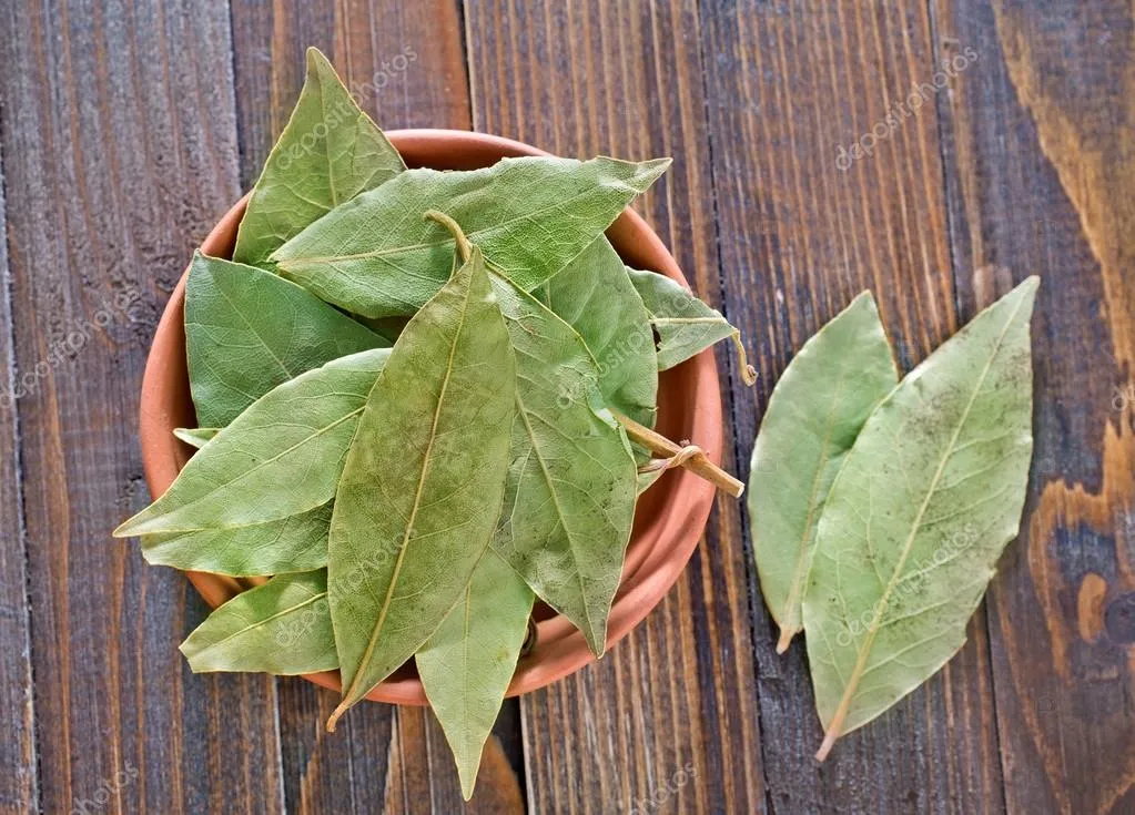 Laurel x 15 grs.