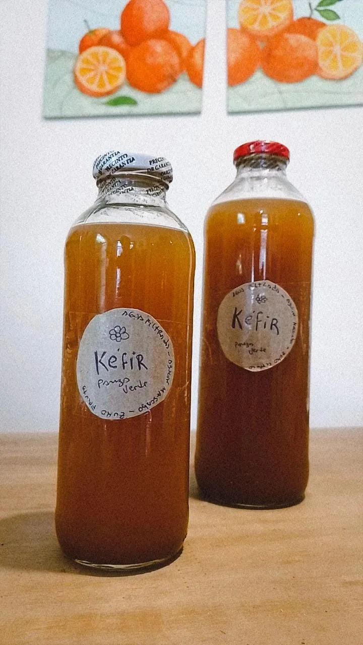Kéfir 500 ml (bebida probiótica). Envase retornable.