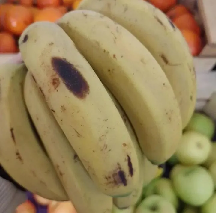 Banana Cavendish x kg.