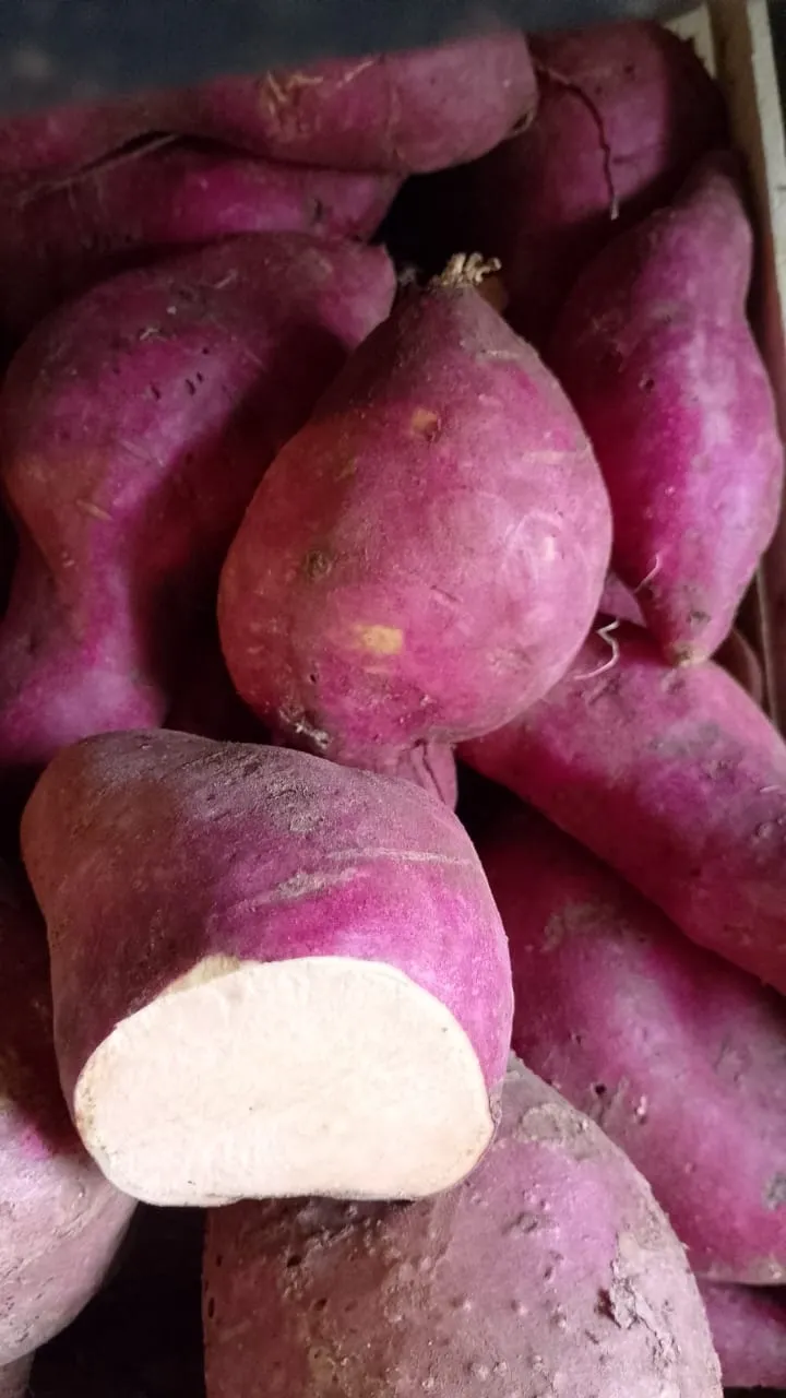 Batata Colorada x kg