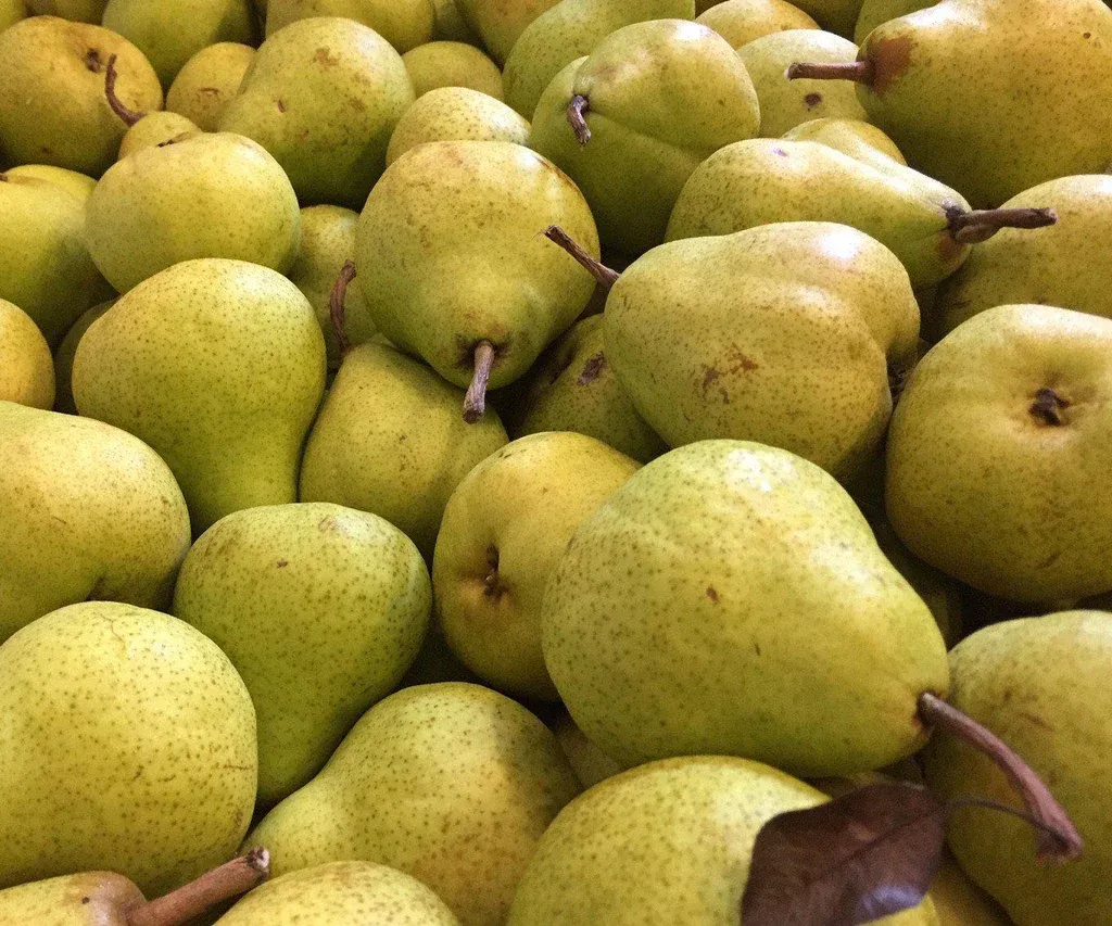 PERA DANJOU MADURA x 1 KILO