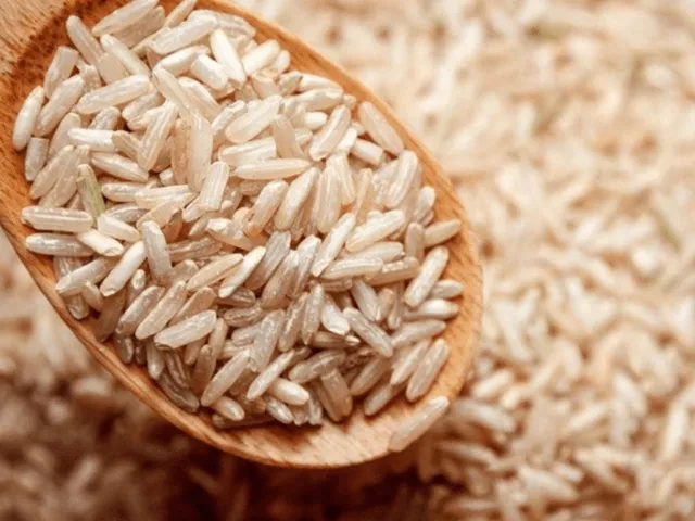 Arroz Integral Largo Fino x 500 grs.