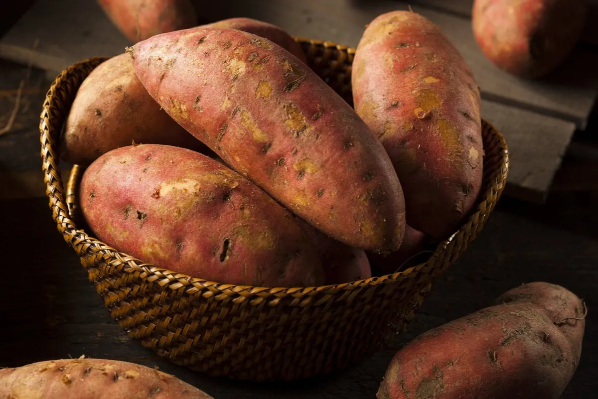 Batata Boniato x kg